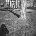Shadow