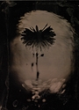 Scaramouche