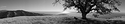 Bald Top Panorama