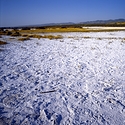 Soda Lake