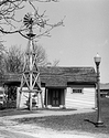 Windmill & Pump