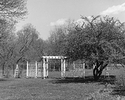 Arbor