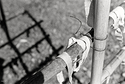 Twisted wire and knotted cloth