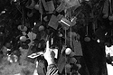 Wishing tree - Chinese New Year