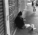 Street photography - Lady and her dogs