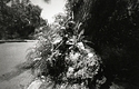 WPPD-23