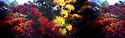 Pana-flowers