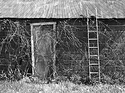 Ladder to the Top