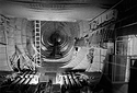 In the Belly of the Goose