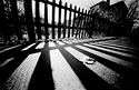 Winter shadows