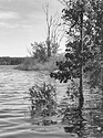 At the Reservoir