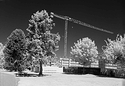 Crane