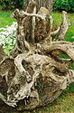 Troubled tree