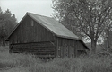 An Old Shed
