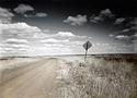 The Wide Brown Land