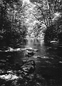 Jacobs Creek.jpg