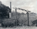 Arbour