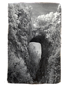 Natural Bridge (2022)