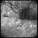 Remnants