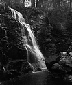 Cascade