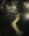 Path to a Daydream