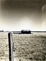 The Cow House