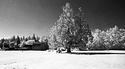 Campbell Valley and the Big Barn