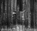 The Door