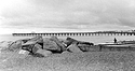 Fisherman on Felixstowe Beach