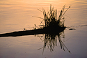 Reflection