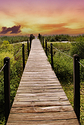 Boardwalk to Beach
