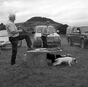 Terrier Racing