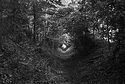 Lesnes Abbey Woods