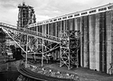 Willamette Grain Elevator