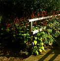 Barnsdale Gardens 01.jpg