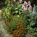 Barnsdale Gardens 04.jpg