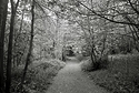 Lesnes Abbey Woods