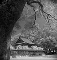 Sasayama Jinja