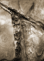 salt point rorschach