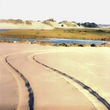 Beach Drive