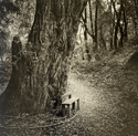 the little bench