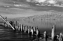 Pilings at Chinook Landing