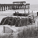 Sea Oats, Beach & Pier