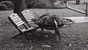 Fire Pit