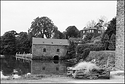 N010_19-med.jpg