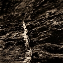 The trail