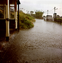 Down Came THE RAIN !