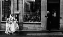 The Wedding Party