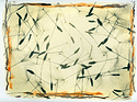 Dandelion seeds