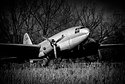 Last Flight